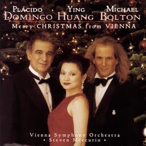 Merry Christmas from Vienna artwork