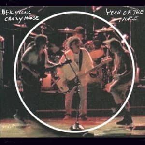 Year of the Horse (Live) artwork