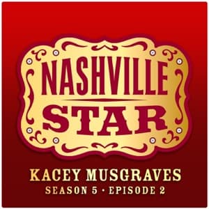 You Win Again (Nashville Star, Season 5) artwork