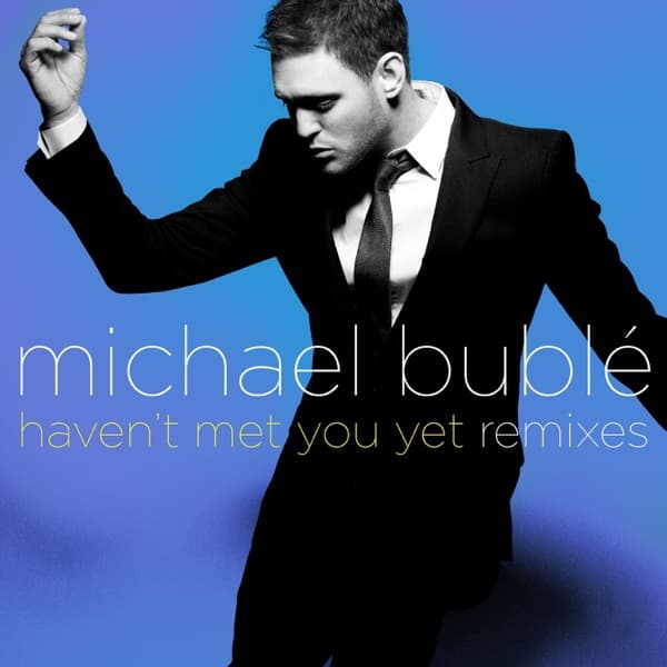 Haven't Met You Yet (Jason Nevins Radio Edit) artwork