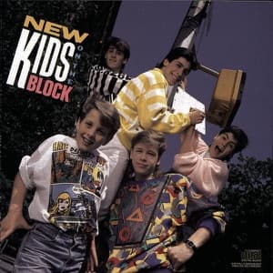 New Kids On The Block artwork