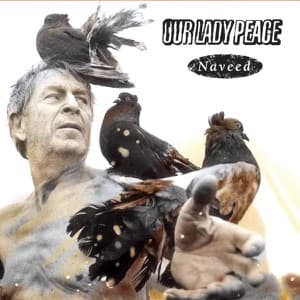 Naveed/Life artwork