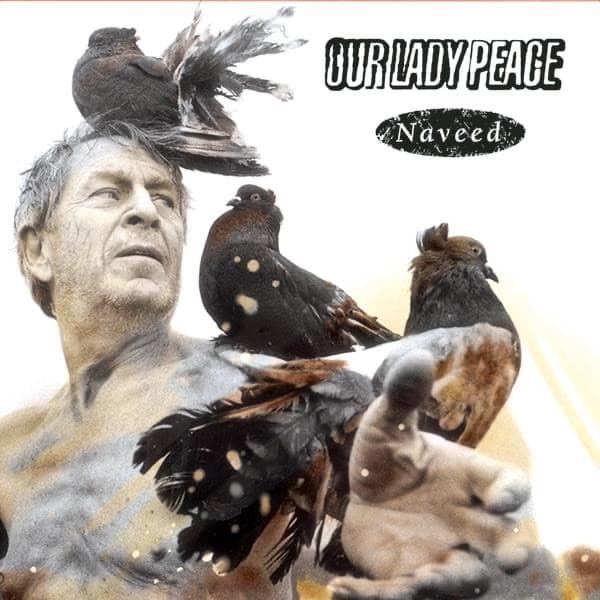 Naveed/Life artwork