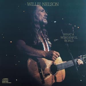 What A Wonderful World artwork