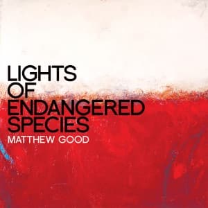 Lights of Endangered Species artwork
