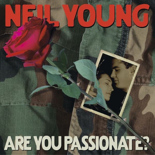Are You Passionate? artwork